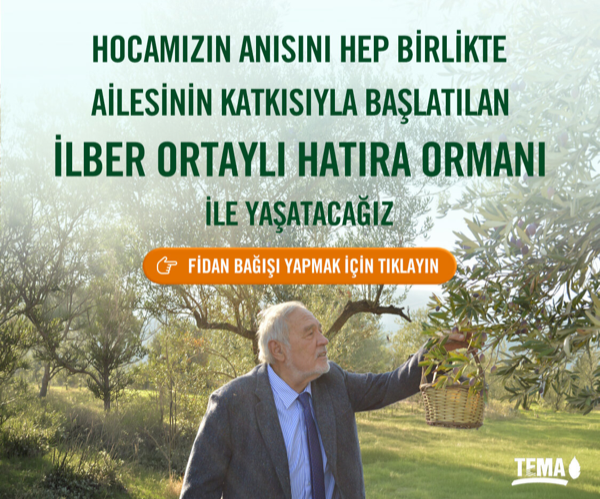 Reklam
