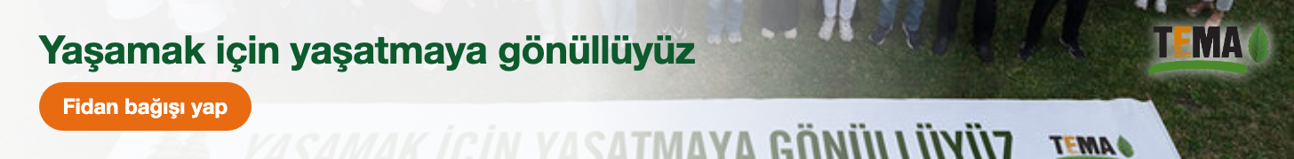 Reklam